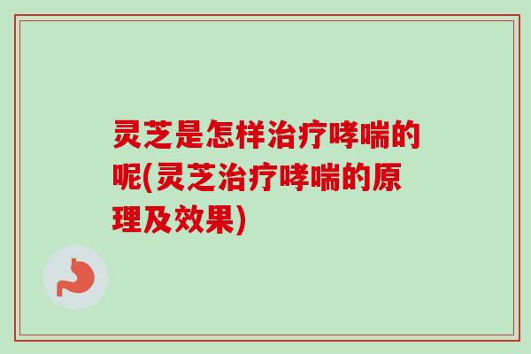 灵芝是怎样治疗哮喘的呢(灵芝治疗哮喘的原理及效果)