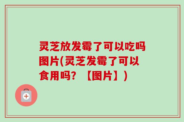 灵芝放发霉了可以吃吗图片(灵芝发霉了可以食用吗？【图片】)
