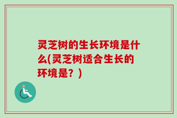 灵芝树的生长环境是什么(灵芝树适合生长的环境是？)
