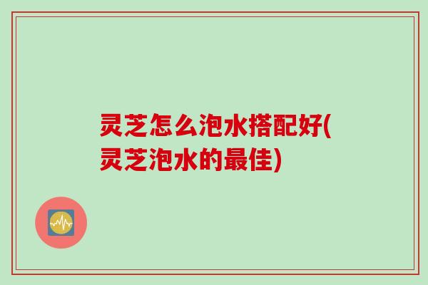 灵芝怎么泡水搭配好(灵芝泡水的最佳)