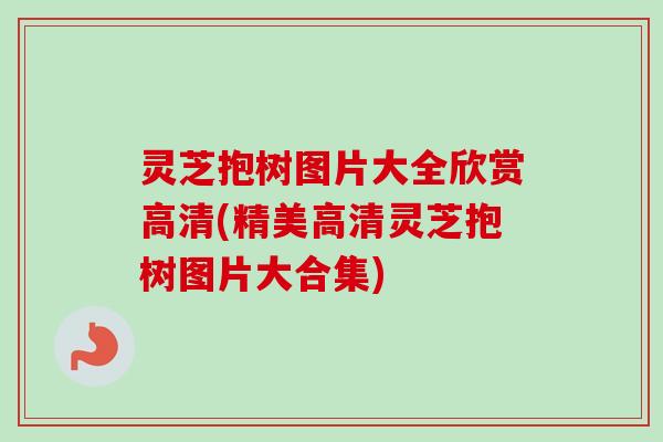 灵芝抱树图片大全欣赏高清(精美高清灵芝抱树图片大合集)