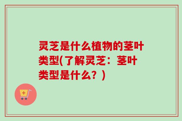 灵芝是什么植物的茎叶类型(了解灵芝：茎叶类型是什么？)