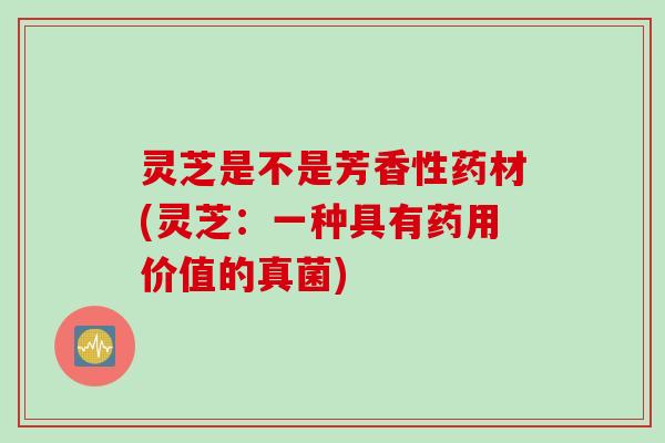 灵芝是不是芳香性药材(灵芝：一种具有药用价值的真菌)