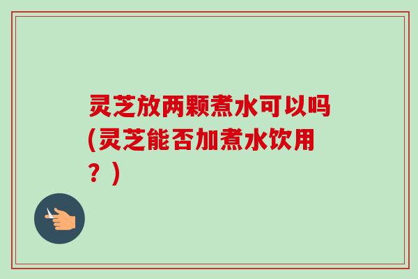 灵芝放两颗煮水可以吗(灵芝能否加煮水饮用？)