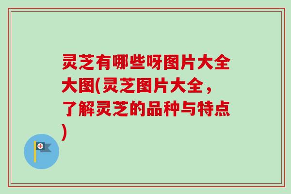 灵芝有哪些呀图片大全大图(灵芝图片大全，了解灵芝的品种与特点)