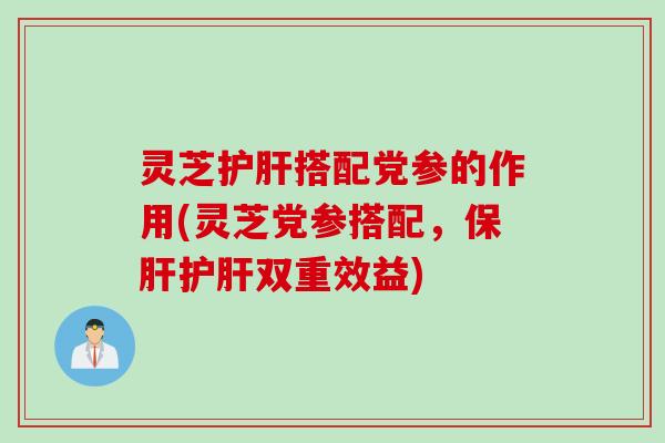 灵芝护肝搭配党参的作用(灵芝党参搭配，保肝护肝双重效益)