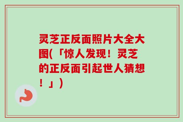 灵芝正反面照片大全大图(「惊人发现！灵芝的正反面引起世人猜想！」)