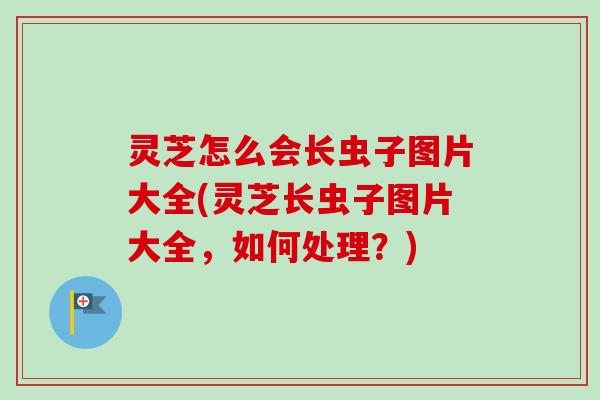 灵芝怎么会长虫子图片大全(灵芝长虫子图片大全，如何处理？)