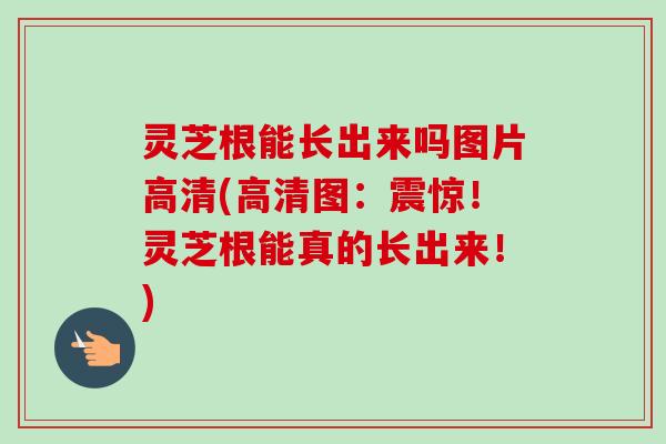 灵芝根能长出来吗图片高清(高清图：震惊！灵芝根能真的长出来！)