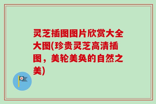 灵芝插图图片欣赏大全大图(珍贵灵芝高清插图，美轮美奂的自然之美)