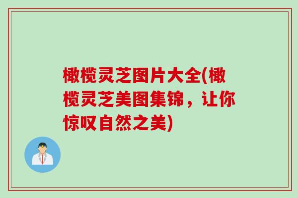 橄榄灵芝图片大全(橄榄灵芝美图集锦，让你惊叹自然之美)