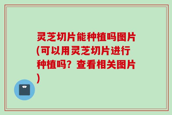 灵芝切片能种植吗图片(可以用灵芝切片进行种植吗？查看相关图片)