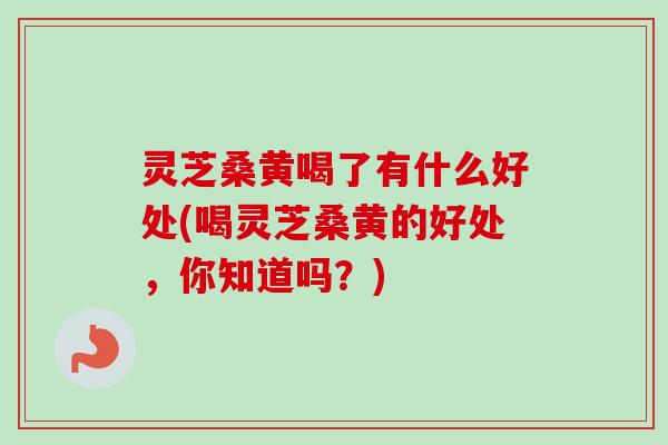 灵芝桑黄喝了有什么好处(喝灵芝桑黄的好处，你知道吗？)