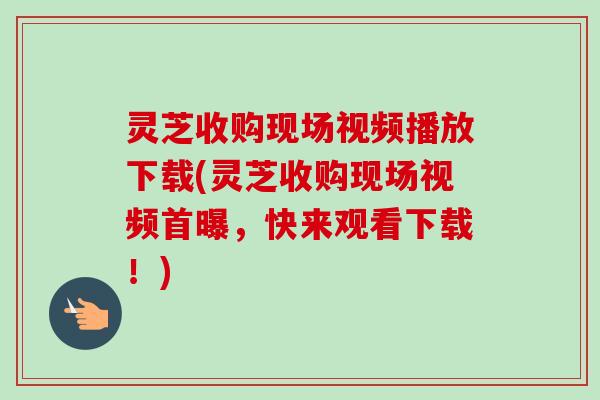 灵芝收购现场视频播放下载(灵芝收购现场视频首曝，快来观看下载！)