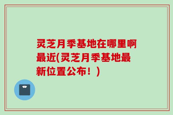 灵芝月季基地在哪里啊最近(灵芝月季基地最新位置公布!)