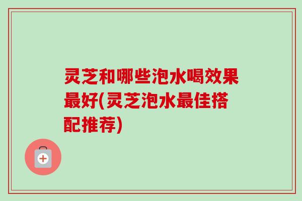 灵芝和哪些泡水喝效果最好(灵芝泡水最佳搭配推荐)