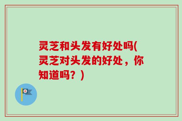 灵芝和头发有好处吗(灵芝对头发的好处，你知道吗？)