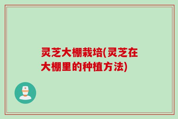 灵芝大棚栽培(灵芝在大棚里的种植方法)