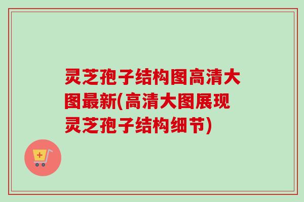 灵芝孢子结构图高清大图最新(高清大图展现灵芝孢子结构细节)