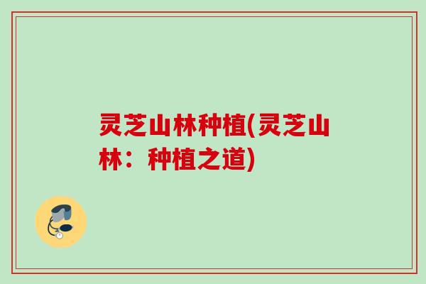 灵芝山林种植(灵芝山林：种植之道)