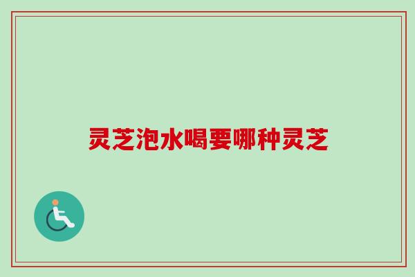 灵芝泡水喝要哪种灵芝