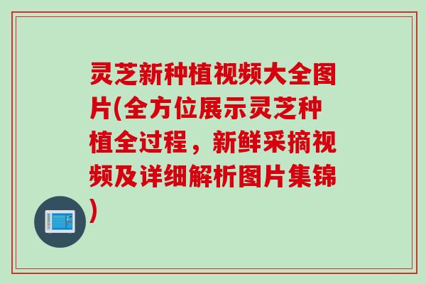 灵芝新种植视频大全图片(全方位展示灵芝种植全过程，新鲜采摘视频及详细解析图片集锦)