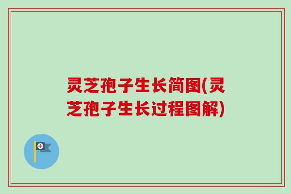 灵芝孢子生长简图(灵芝孢子生长过程图解)