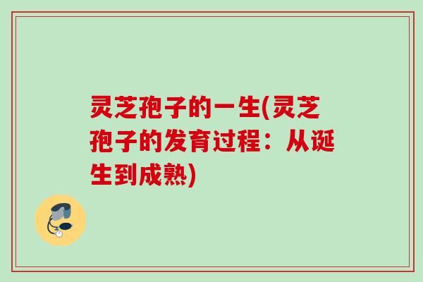 灵芝孢子的一生(灵芝孢子的发育过程：从诞生到成熟)