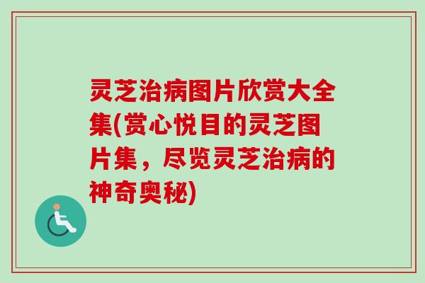 灵芝治病图片欣赏大全集(赏心悦目的灵芝图片集，尽览灵芝治病的神奇奥秘)