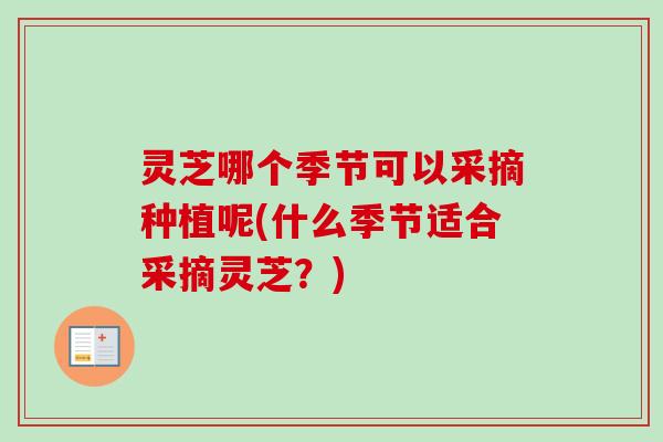 灵芝哪个季节可以采摘种植呢(什么季节适合采摘灵芝？)
