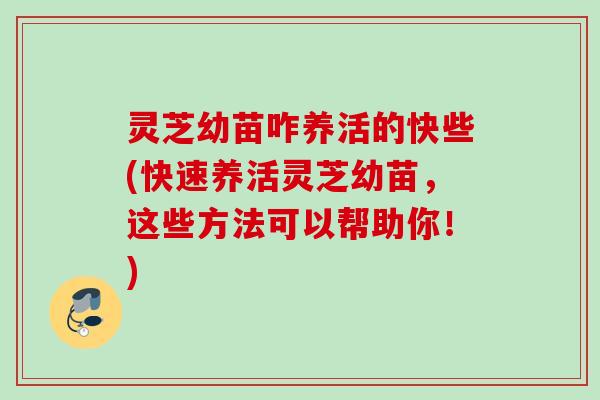 灵芝幼苗咋养活的快些(快速养活灵芝幼苗，这些方法可以帮助你！)