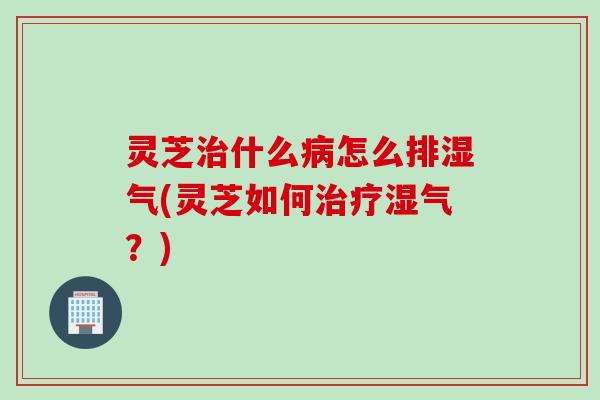 灵芝什么怎么排湿气(灵芝如何湿气?) 灵芝什么怎么排湿气(灵芝如何湿气?)