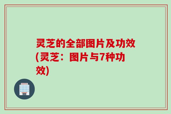 灵芝的全部图片及功效(灵芝：图片与7种功效)