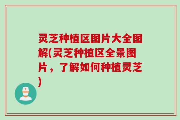 灵芝种植区图片大全图解(灵芝种植区全景图片，了解如何种植灵芝)