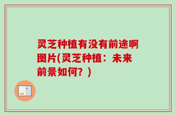 灵芝种植有没有前途啊图片(灵芝种植：未来前景如何？)