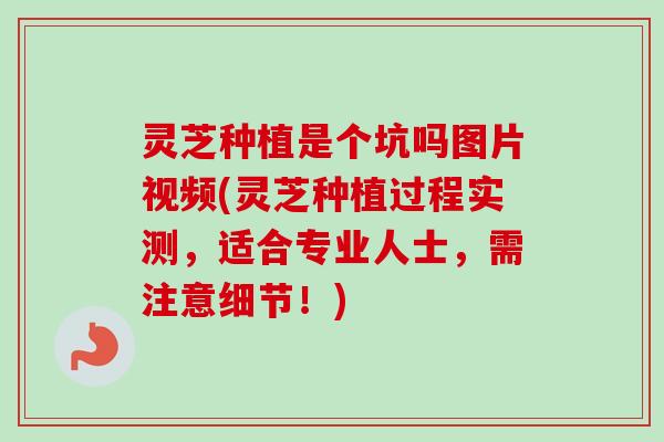灵芝种植是个坑吗图片视频(灵芝种植过程实测，适合专业人士，需注意细节！)