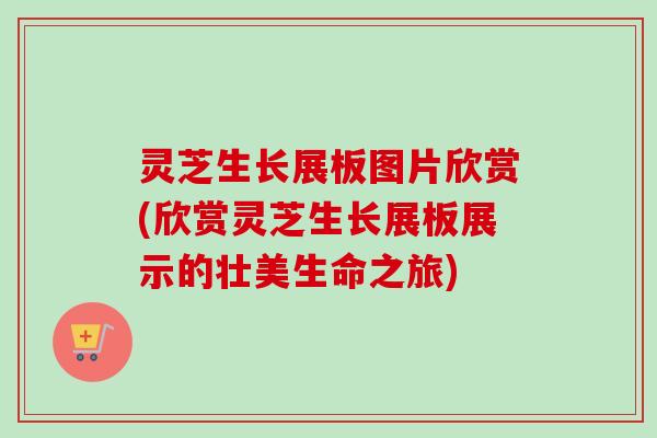 灵芝生长展板图片欣赏(欣赏灵芝生长展板展示的壮美生命之旅)