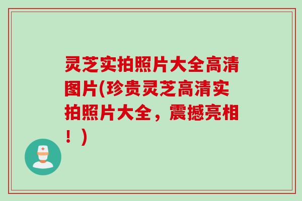 灵芝实拍照片大全高清图片(珍贵灵芝高清实拍照片大全，震撼亮相！)