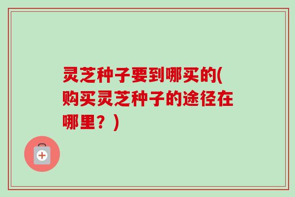 灵芝种子要到哪买的(购买灵芝种子的途径在哪里？)