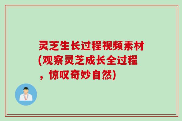 灵芝生长过程视频素材(观察灵芝成长全过程，惊叹奇妙自然)