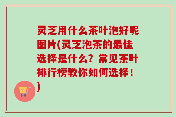 灵芝用什么茶叶泡好呢图片(灵芝泡茶的最佳选择是什么？常见茶叶排行榜教你如何选择！)