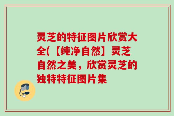 灵芝的特征图片欣赏大全(【纯净自然】灵芝自然之美，欣赏灵芝的独特特征图片集