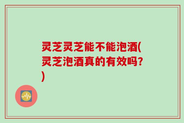 灵芝灵芝能不能泡酒(灵芝泡酒真的有效吗？)