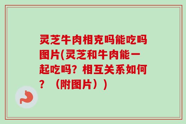 灵芝牛肉相克吗能吃吗图片(灵芝和牛肉能一起吃吗？相互关系如何？（附图片）)