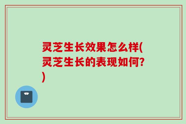 灵芝生长效果怎么样(灵芝生长的表现如何？)