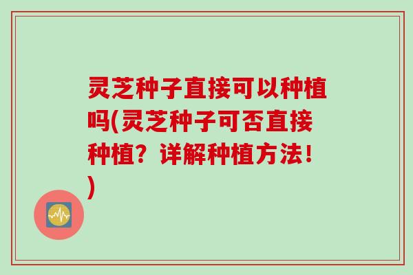灵芝种子直接可以种植吗(灵芝种子可否直接种植?详解种植方法!) 灵芝种子直接可以种植吗(灵芝种子可否直接种植?详解种植方法!)