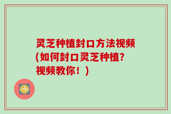 灵芝种植封口方法视频(如何封口灵芝种植？视频教你！)