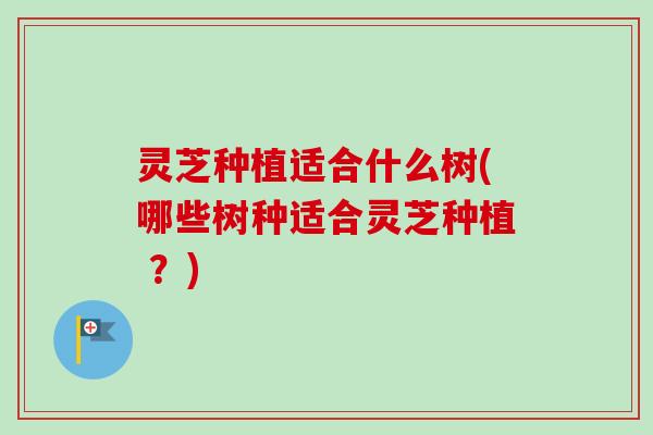 灵芝种植适合什么树(哪些树种适合灵芝种植 ？)