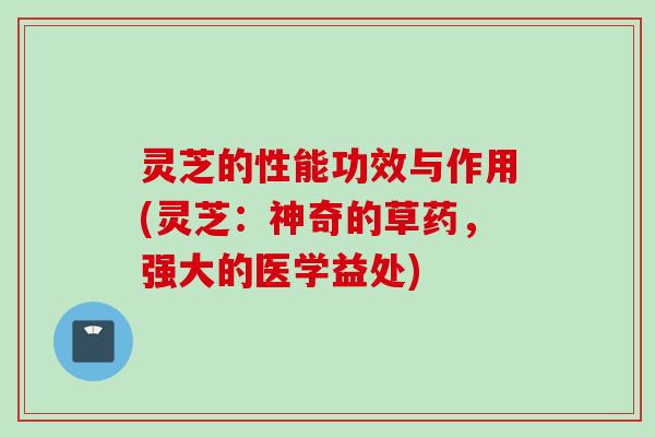 灵芝的性能功效与作用(灵芝：神奇的草药，强大的医学益处)