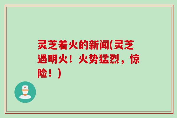 灵芝着火的新闻(灵芝遇明火！火势猛烈，惊险！)
